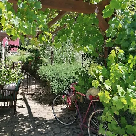 Rural El Marquesito Antigua Casa Carmela Arenas de San Pedro