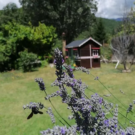 Rural El Marquesito Antigua Casa Carmela 호텔 아레나스 데 산 페드로