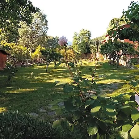 酒店 Rural El Marquesito Antigua Casa Carmela 阿雷纳斯德圣佩德罗