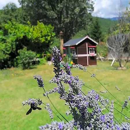 酒店 Rural El Marquesito Antigua Casa Carmela 阿雷纳斯德圣佩德罗