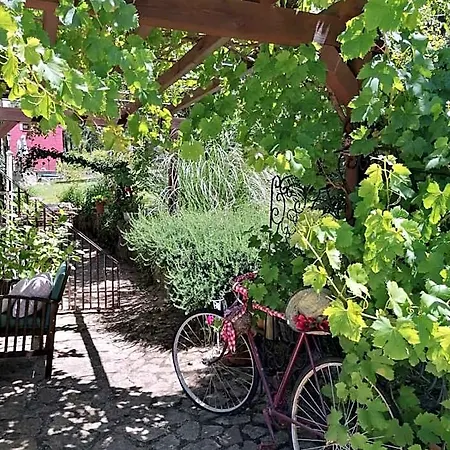 酒店 Rural El Marquesito Antigua Casa Carmela 阿雷纳斯德圣佩德罗