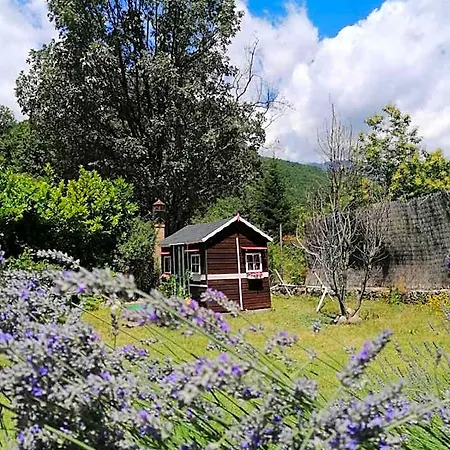 Rural El Marquesito Antigua Casa Carmela 酒店 4*