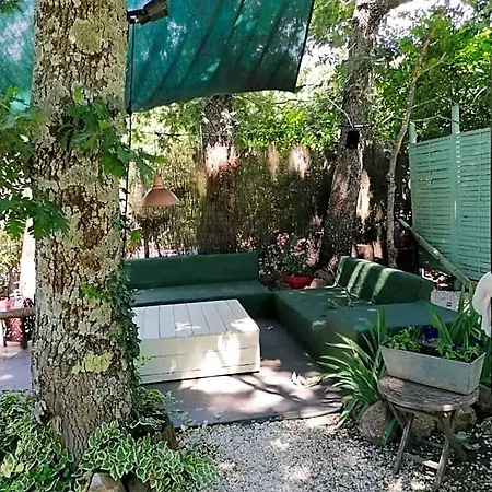 酒店 Rural El Marquesito Antigua Casa Carmela 阿雷纳斯德圣佩德罗