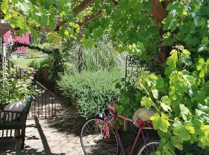 Rural El Marquesito Antigua Casa Carmela Аренас-де-Сан-Педро