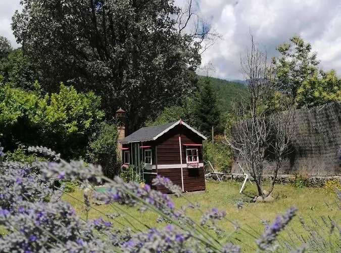 Rural El Marquesito Antigua Casa Carmela 아레나스 데 산 페드로